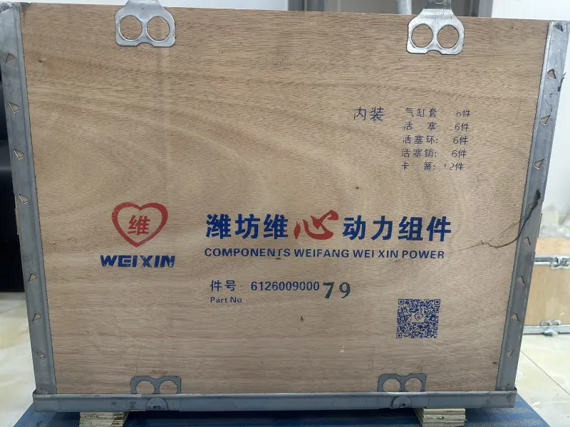 Weichai Piston Kit WP10.E3 612600900079 Engine Overhaul Repair Kit